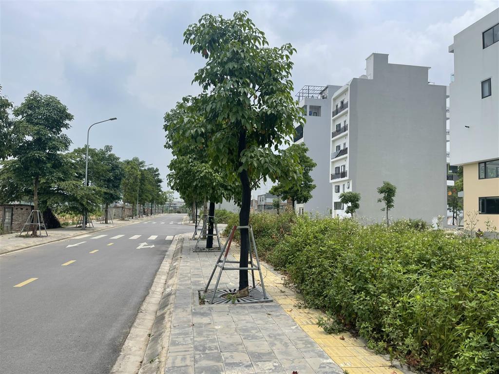 BÁN ĐẤT ĐẤU GIÁ X7 UY NỖ ĐÔNG ANH HÀ NỘI - VƯỜN ĐÀO KINH DOANH