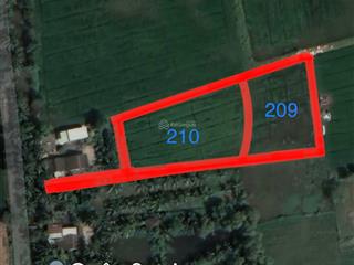 Cần bán 3700m2 đất trồng lúa (sổ đỏ riêng) tại xã tân nhựt  huyện bình chánh. giá 2,2 triệu/m2