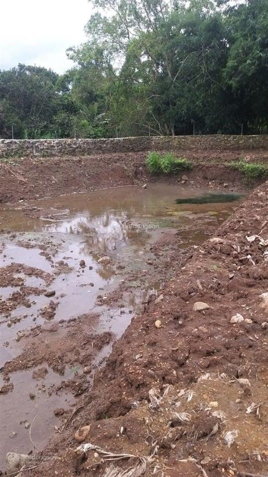 $$$ bán đất đường bê tông 4m, khu dân cư hiện hữu, (xã bàu hàm 2 cũ) h. thống nhất, đn, (2.000m2)