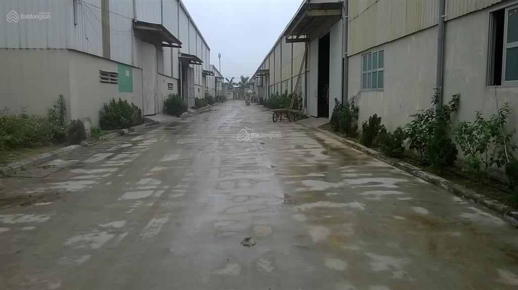 Cty dcn việt nam cho thuê kho xưởng lô 4a kcn tân quang, văn lâm, hưng yên, dt 800m2