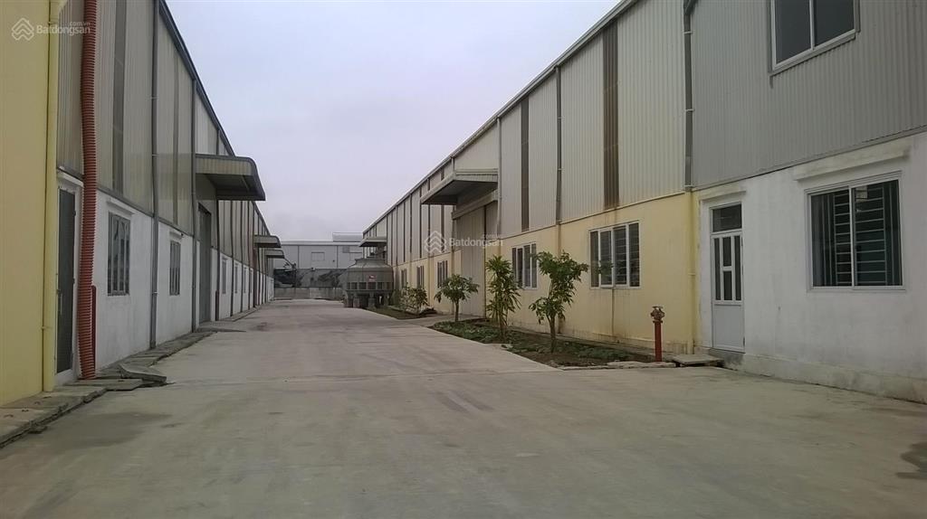 Cty dcn việt nam cho thuê kho xưởng lô 4a kcn tân quang, văn lâm, hưng yên, dt 800m2