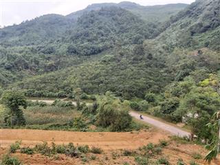 Chính chủ gửi bán 11.3ha đất rừng sx bám đường nhựa liên huyện 500m, có suối bao quanh