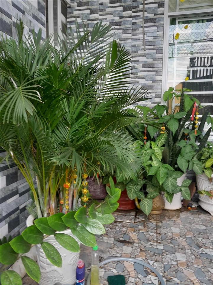 Bán nhà riêng tại chợ phú chánh a  bd. tổng 112m2, đường nhựa 5m, sân ô tô thoải mái, 0869 899 ***