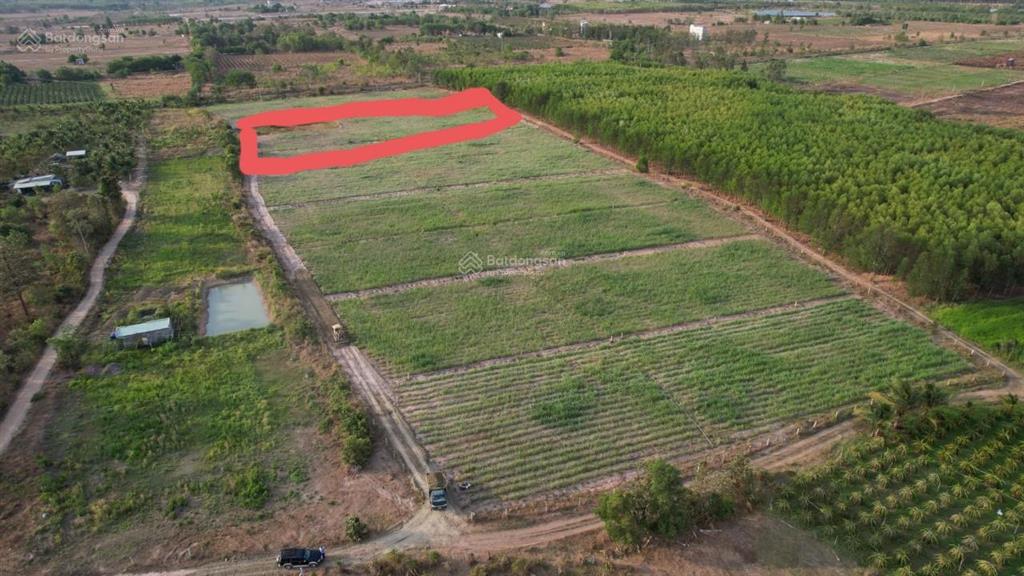 Cần tiền cần bán lô đất 620 triệu ở hàm liêm bình thuận 1600m2 dân cư hiện hữu