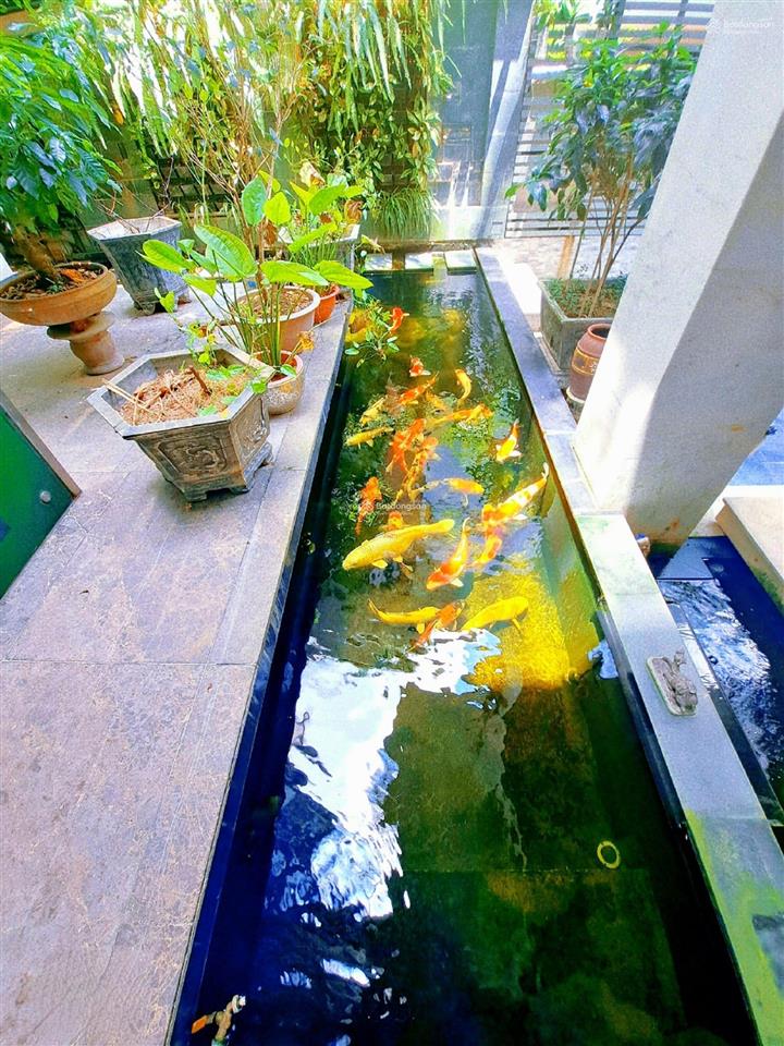 Tổng hợp các căn biệt thự, liền kề tt1, tt2, tt3, tt4, tt5, tt6 kđt linh đàm, giá cần tiền bán gấp