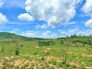 Bán 20ha, giá chỉ 390tr/ha, sổ cây lâu năm đầy đủ, tại Krong Nô tỉnh Đắk Nông