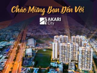 Giỏ hàng đặc biệt đang mở bán dự án akari city giai đoạn 2 của chủ đầu tư nam long