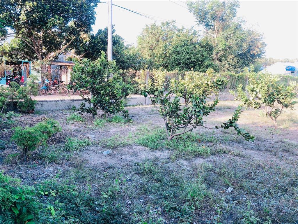 Bán lô đất sau căn mặt tiền ql13  ngay trạm thu phí chơn thành, dt 295m2(5x56m), hh 2% cho dv