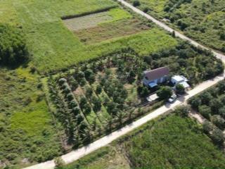Cần bán 1383m2 đất có nhà và vườn cây ăn trái tại xã diên đồng huyện diên khánh