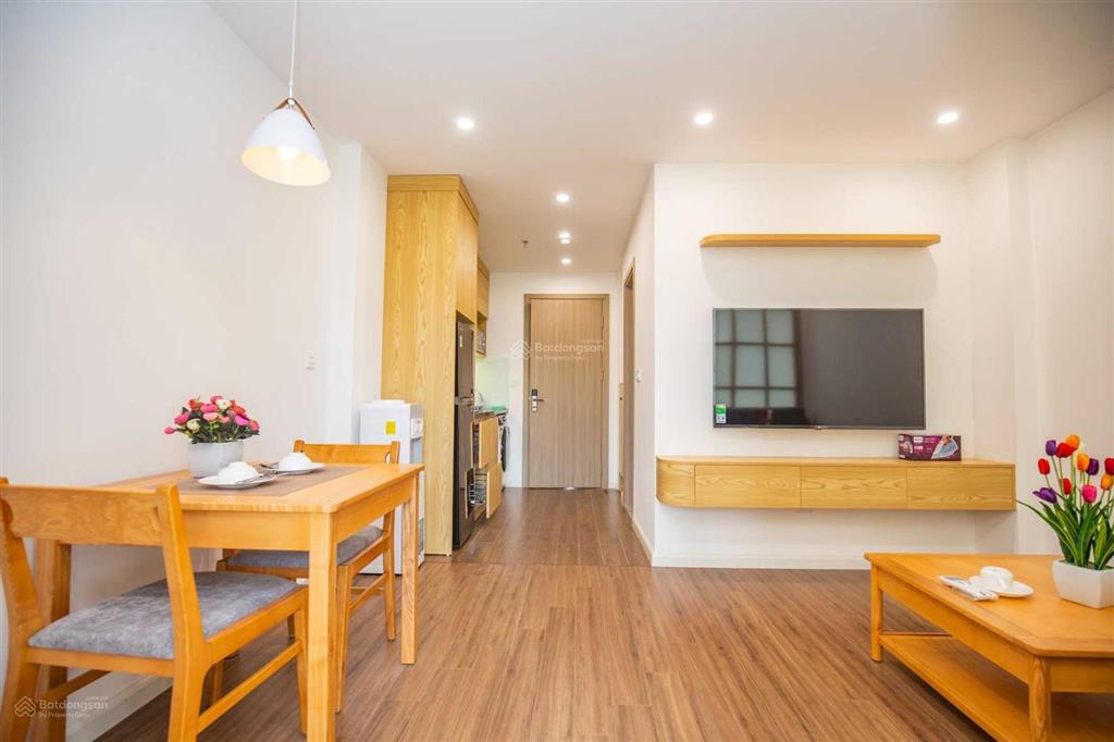 Căn hộ 1 ngủ mới cho thuê phố phan kế bính, nội thất mới, gần lotte cho khách nhật
