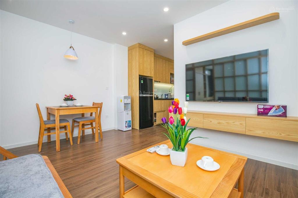 Căn hộ 1 ngủ mới cho thuê phố phan kế bính, nội thất mới, gần lotte cho khách nhật