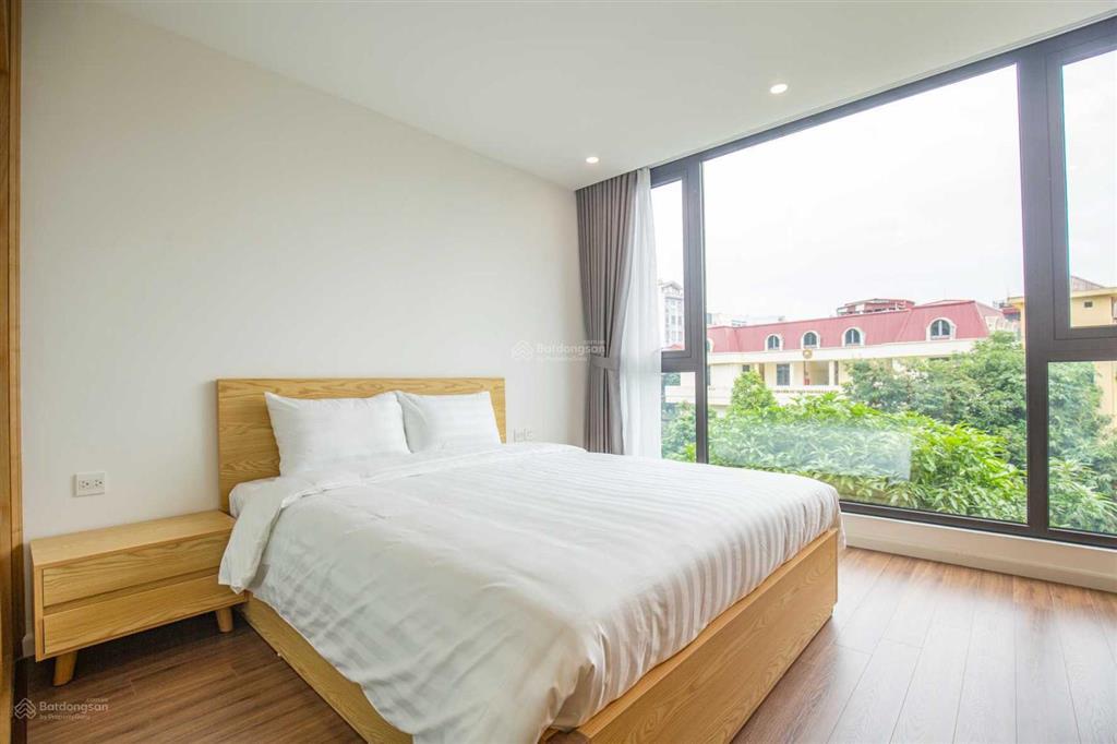 Căn hộ 1 ngủ mới cho thuê phố phan kế bính, nội thất mới, gần lotte cho khách nhật