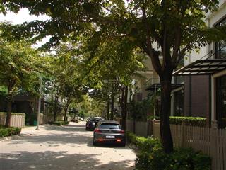 Bán đất nền khu 44 căn biệt thự valora mizuki park, dt 182m2 góc, giá 12.5 tỷ tl
