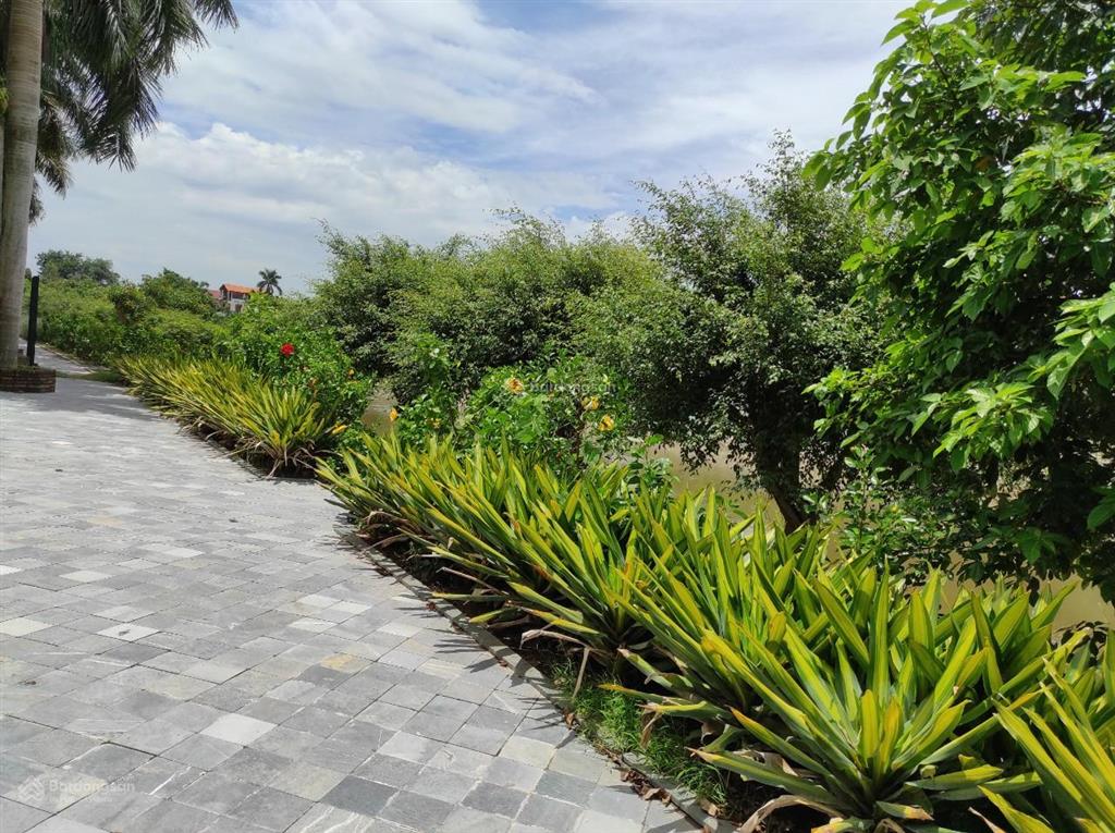 Chính chủ gửi bán biệt thự view sông