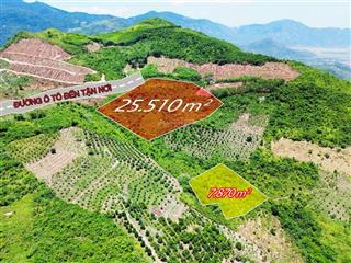 25.000m2 đất diên lâm, diên khánh giá chỉ 300 triệu đồng sổ hồng riêng