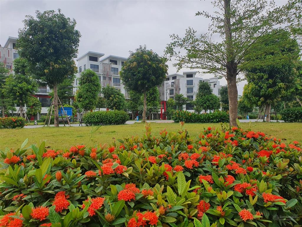 Cho thuê nhà phố khai sơn 220m2, mặt tiền rộng 22m, giá thuê 50tr/tháng.  0989 386 ***