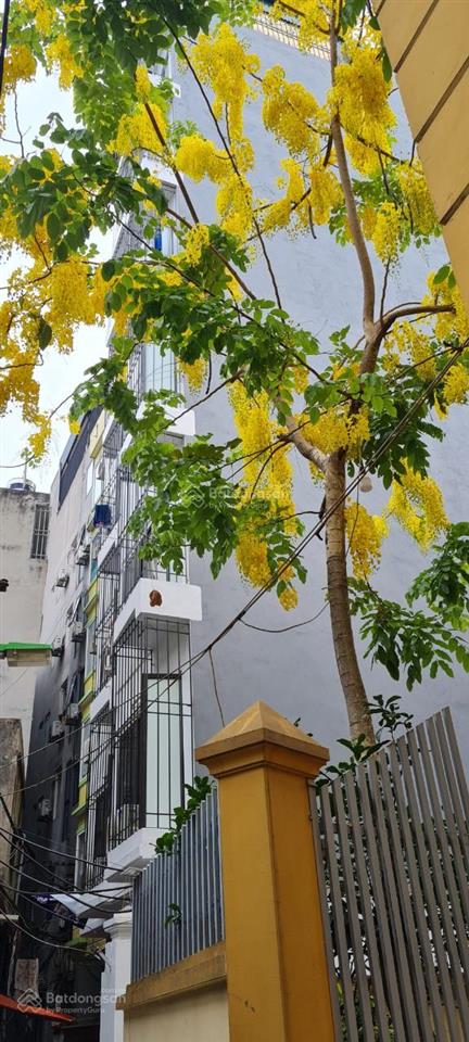 Duy nhất 1 căn! tòa ccmn (90m2*8t*30pkk) gần hồ phố triều khúc thanh xuân hn. doanh thu 1,2tỷ/năm