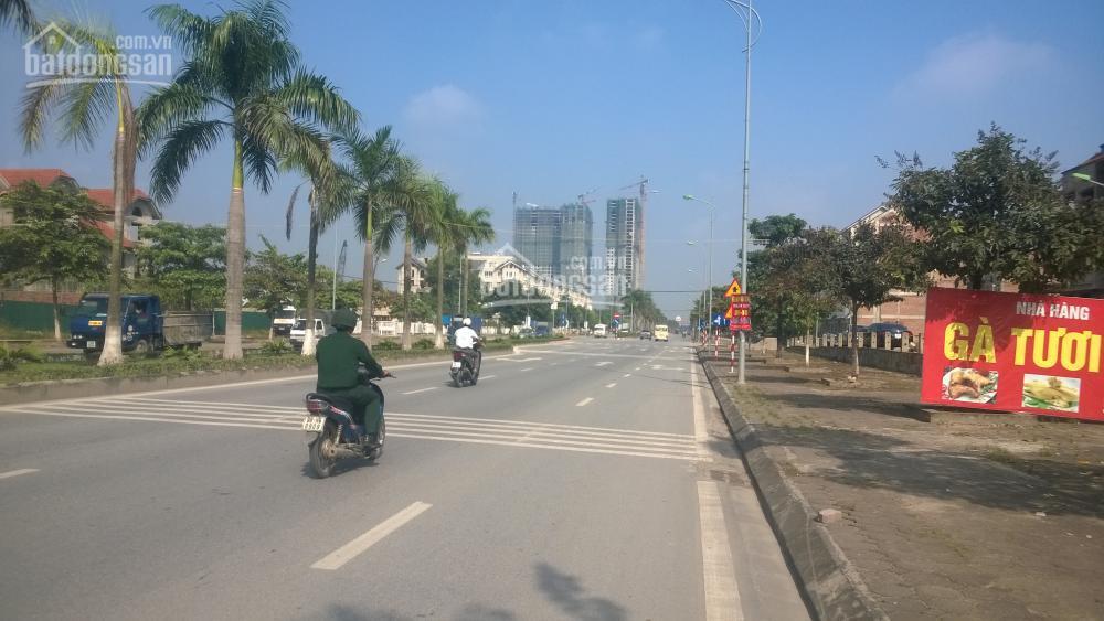 Chính chủ bán gấp 50m260m280m2 đất dịch vụ xã song phương, hoài đức, hà nội, 75 triệu 80 tr/m2