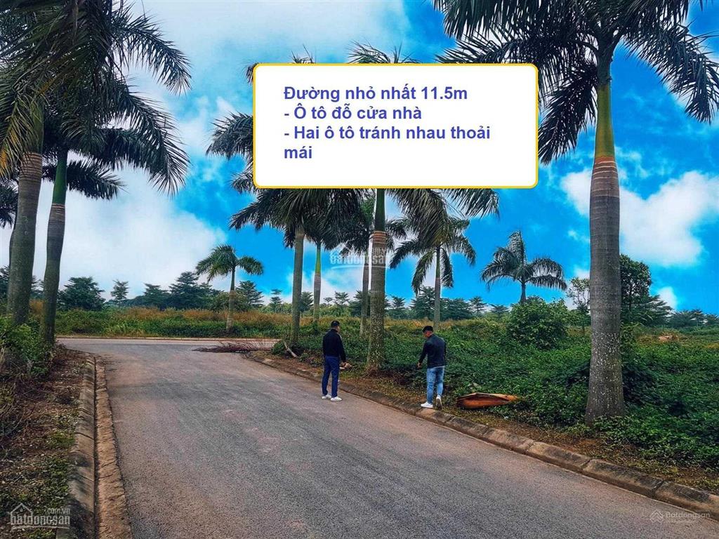 Bán nhanh đất nền phân lô dự án nhà ở hoàng vân, mê linh giá rẻ nhất thị trường
