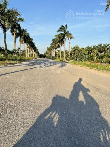 Bán nhanh đất nền phân lô dự án nhà ở hoàng vân, mê linh giá rẻ nhất thị trường
