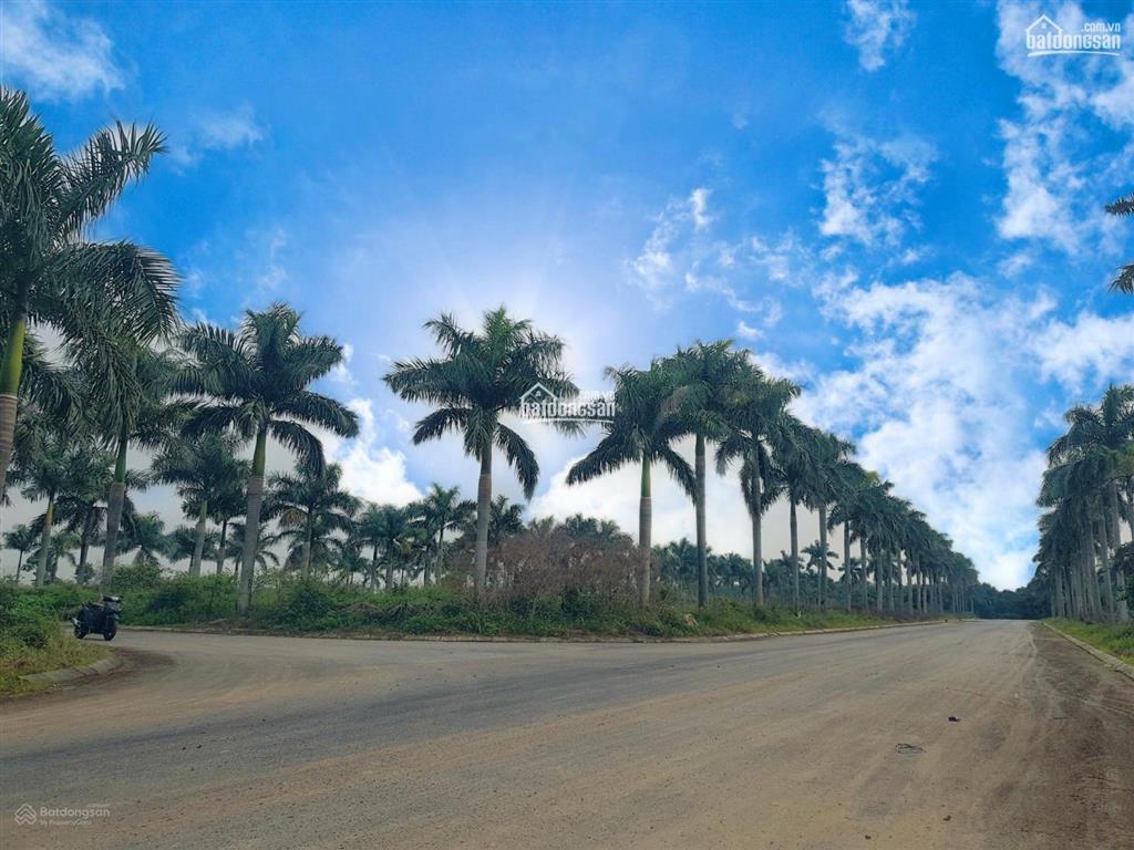 Bán nhanh đất nền phân lô dự án nhà ở hoàng vân, mê linh giá rẻ nhất thị trường