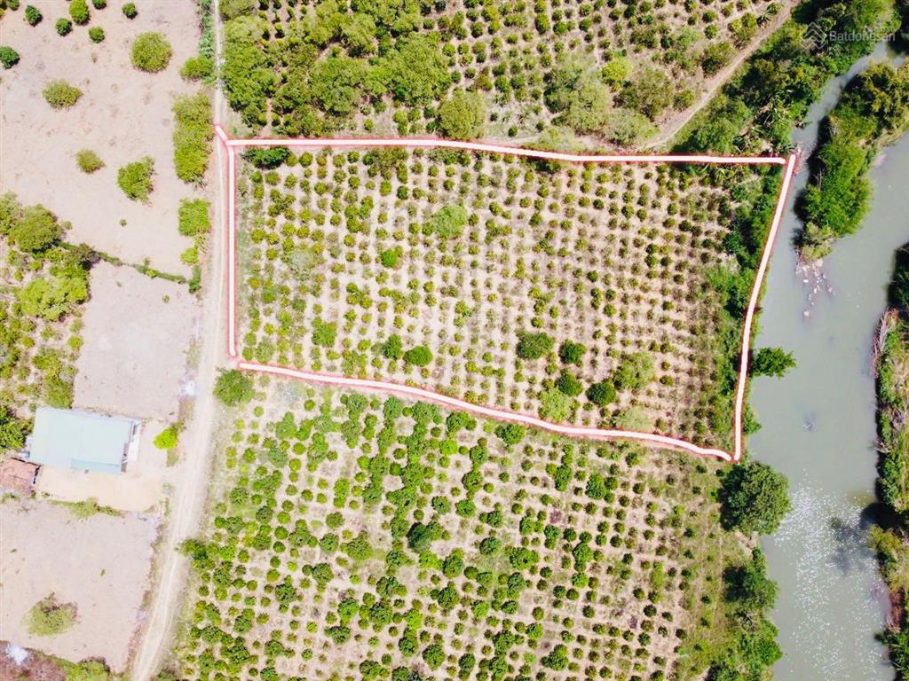Lô 4 sào view sông nước quanh năm mát mẻ tuyệt đẹp cách ql26 1,5km khu dân cư đông đúc