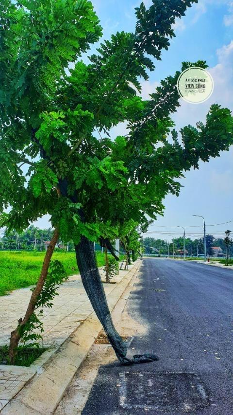 Bán đất khu dân cư an lộc phát, đường 19,5m sổ sẵn