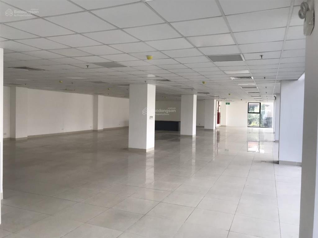 Cho thuê văn phòng phố lạc long quân, tây hồ dt 100m2, giá 120 nghìn/m2/th