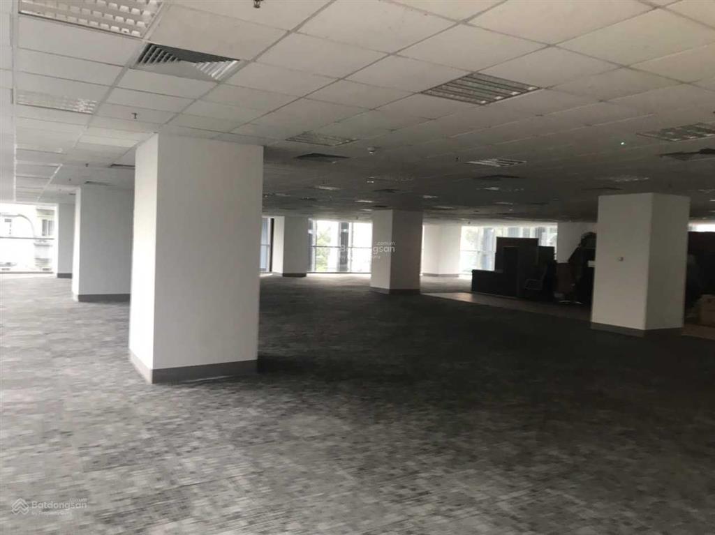 Chính chủ cho thuê văn phòng tòa chelsea residences, dt từ 54m2 đến 300m2. (miễn trung gian)