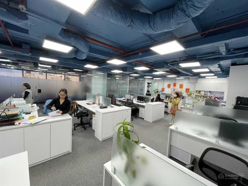 Chính chủ cho thuê văn phòng tòa chelsea residences, dt từ 54m2 đến 300m2. (miễn trung gian)