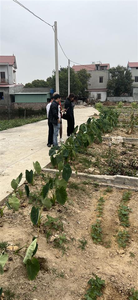 Đất giá rẻ xã quỳnh phú, gia bình cách bờ hồ thị trấn chỉ 1km, ngay kcn và sân bay gia bìn