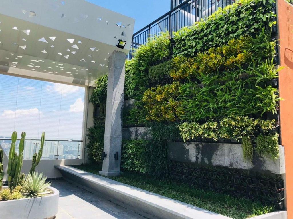 ‼️TIN SỐC - TIN SỐC SUẤT NGOẠI GIAO DUY NHẤT CĂN DUPLEX THE ZEI VIEW TRỌN SÂN VẬN ĐỘNG MỸ ĐÌNH 