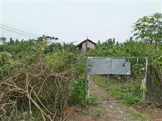 Bán 3100m2 đất vườn ven Hà Nội, Sài Sơn Quốc Oai, giá quanh 1 triệu/m2