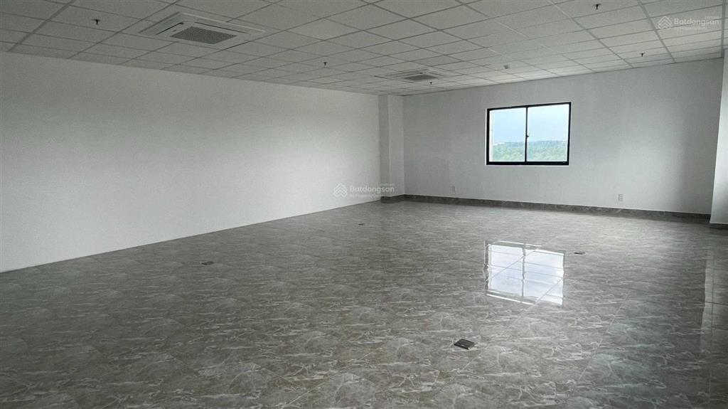 Office for lease  cho thuê vp thành phố mới (bd)  miễn phí 02 tháng tiền thuê