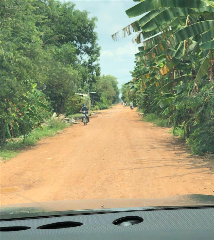 Bán đất mt đường 24 hội thạnh, tân hội, tân châu, tây ninh