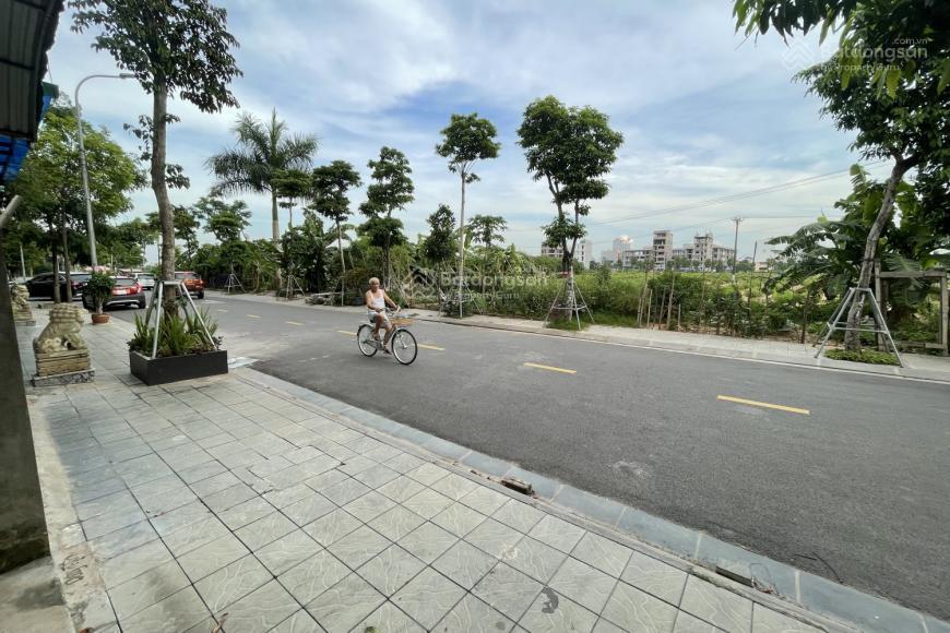 Đất đấu giá vườn đào 3ha kinh doanh  x7 uy nỗ, đông anh