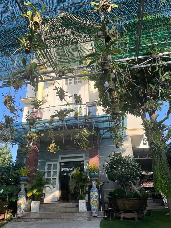 Kẹt trả nợ ngân hàng bán gấp nhà đất 1583m2 full thổ cư mặt tiền đào sư tích, vị trí kd đẹp