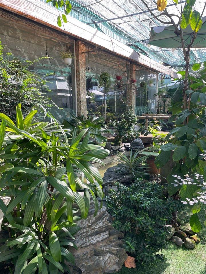 Kẹt trả nợ ngân hàng bán gấp nhà đất 1583m2 full thổ cư mặt tiền đào sư tích, vị trí kd đẹp