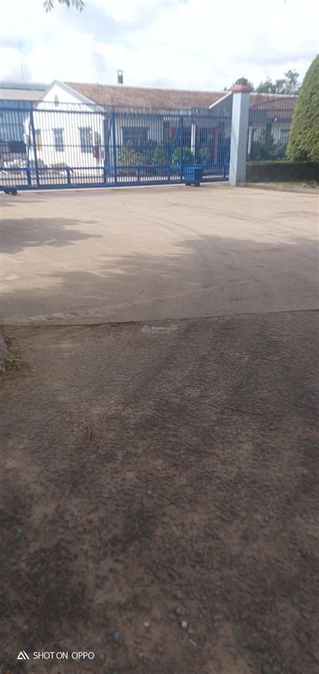 Bán 3 dãy phòng trọ có 55 phòng, thu nhập 70tr/th, diện tích 1398m2 đất. giá chỉ 16tr/1m2