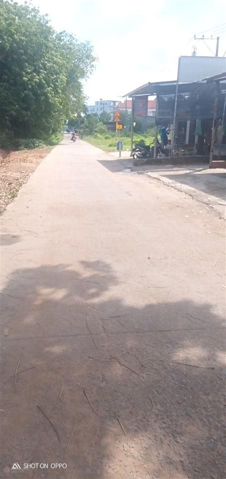 Bán 3 dãy phòng trọ có 55 phòng, thu nhập 70tr/th, diện tích 1398m2 đất. giá chỉ 16tr/1m2