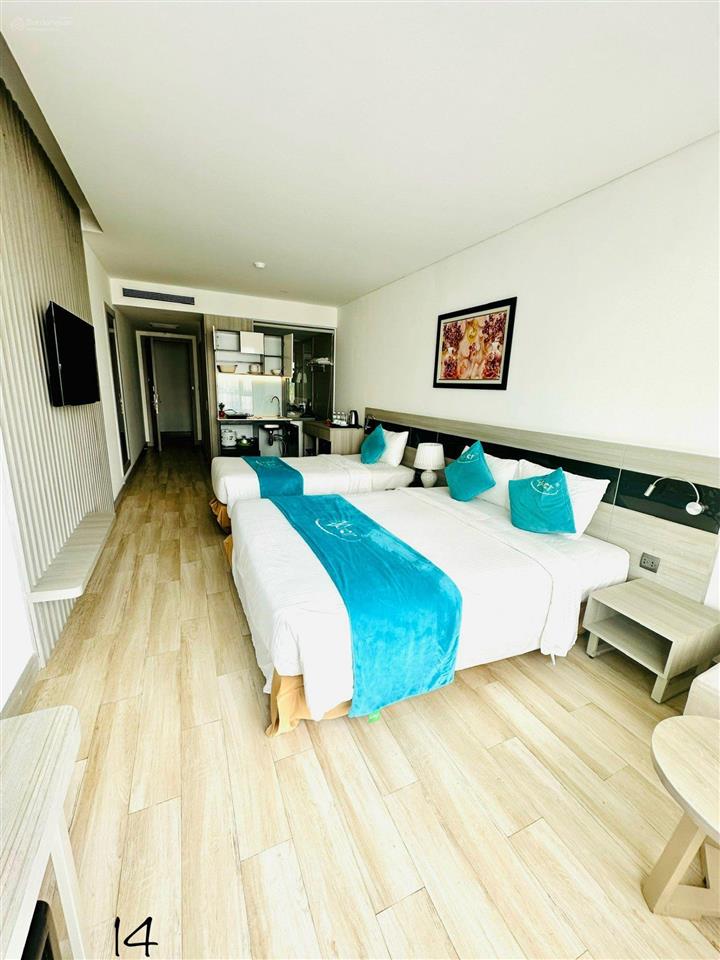 Hot cho thuê căn hộ studio mường thanh viễn triều chỉ 810tr/tháng. 700k/ngày