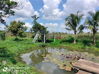 Bán đất view suối thề tiện làm nghỉ dưỡng, farm, homestay, tại cẩm mỹ, đồng nai, dt 3000m2 giá 3 tỷ