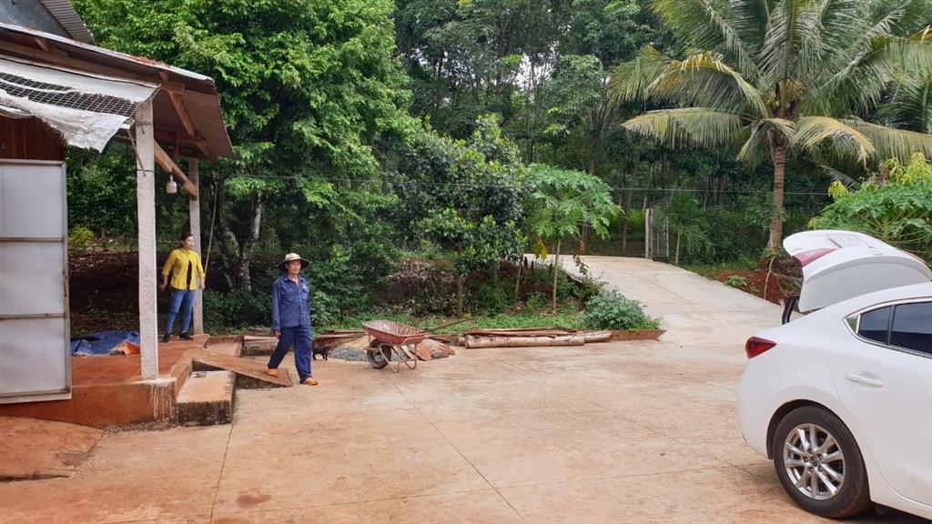 Chính chủ cần bán nhà vườn ngang 70m*100m (7.200m2) gần thị trấn lộc ninh  bình phước