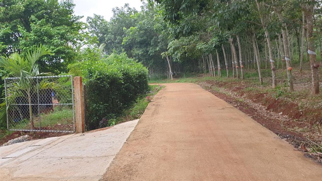 Chính chủ cần bán nhà vườn ngang 70m*100m (7.200m2) gần thị trấn lộc ninh  bình phước