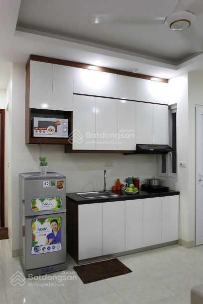 Cho thuê chdv 1 khách + 1 ngủ đình thôn