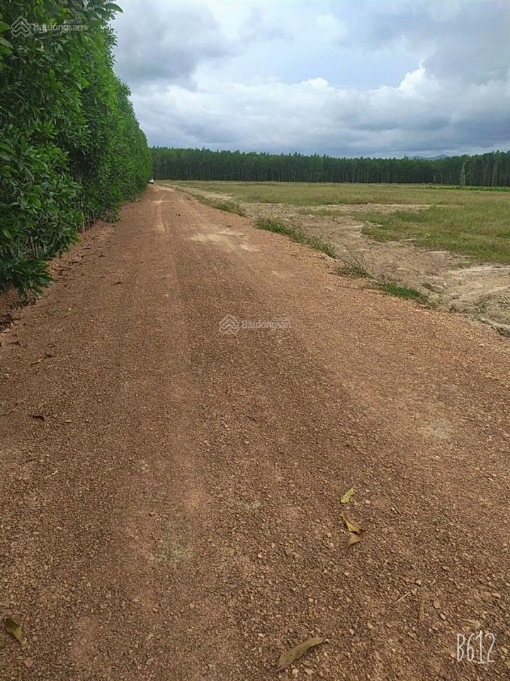 Chính chủ cần bán lô đất xuân hoà, xuân lộc, đồng nai. ae mg phụ chào, phí 2%.