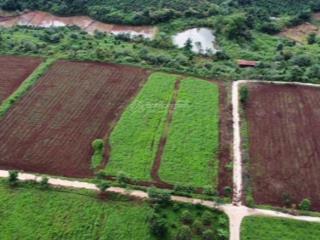 Bán đất vườn trong nông trại southern pleiku farm giá 200 triệu/1000m2 ck 10%
