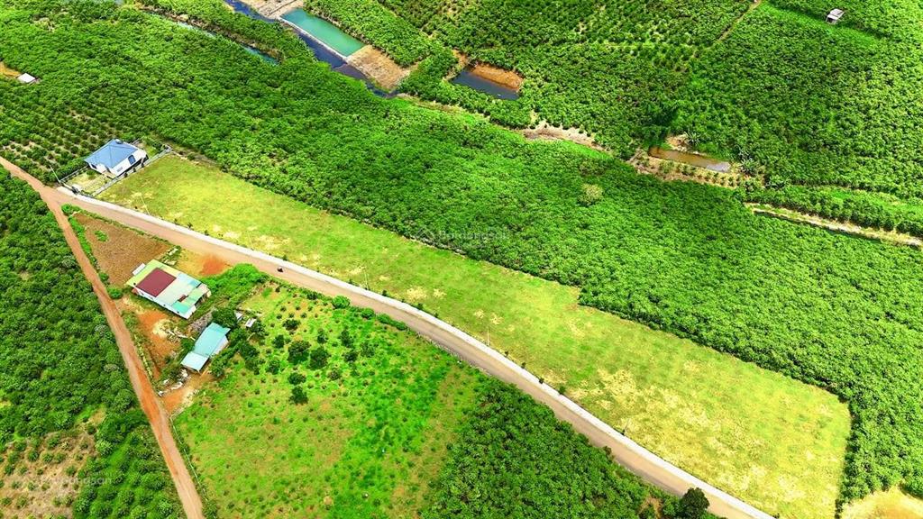 Đất nền nghỉ dưỡng (sổ riêng) view đẹp săn mây tại xã lộc ngãi bảo lâm. giá chỉ từ 800 triệu/lô
