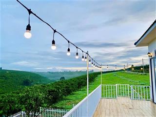 Cần bán sỉ từ 10 đến 20 lô đất nền nghỉ dưỡng tại xã lộc ngãi  bảo lâm. giá chỉ từ 700 triệu/lô