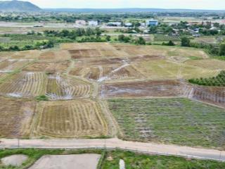 Bán 1 sào cln (1000m) gần trạm dừng cao tốc phan thiết  vĩnh hảo, cách ql 28 7 phút. đất vuông vức